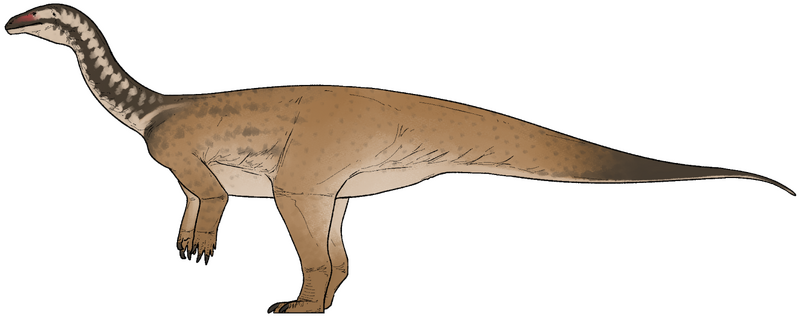 Plik:Xiangyunloong fengming.png