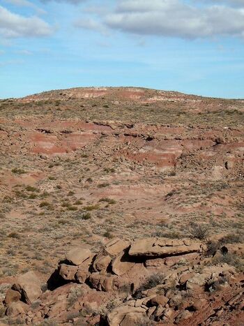 Fm Candeleros cerro Vagon.jpg