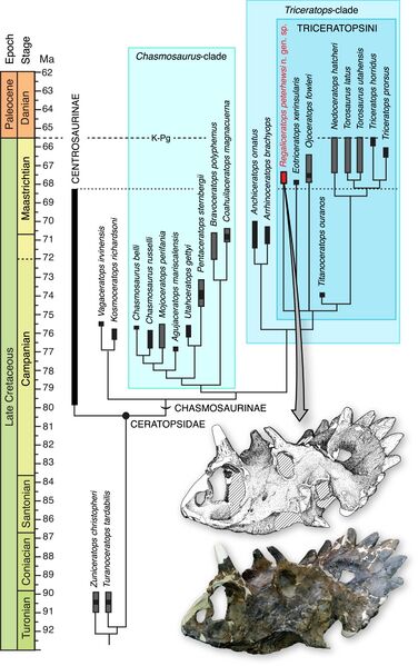 Plik:Brown i Henderson, 2015.jpg