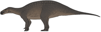 Cariocecus bocagei.png