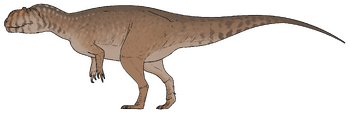 Alpkarakush kyrgyzicus.png
