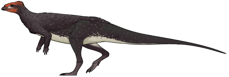 Plik:Doolysaurus huhmini.png