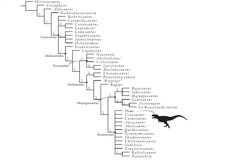 Plik:Delcourt & Iori 2020.png