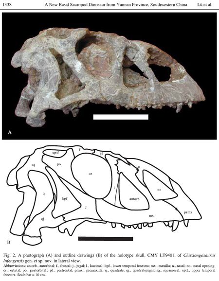 Jingshanosaurus Encyklopedia
