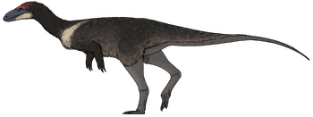 Anteavis crurilongus.png