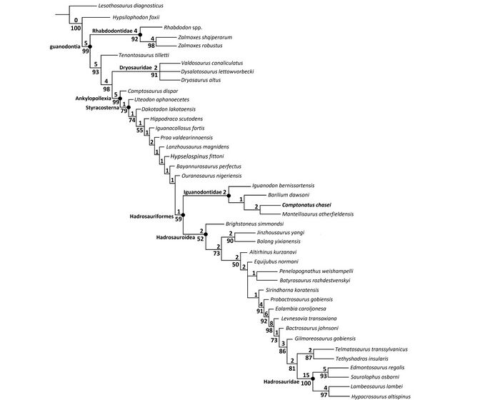 Lokwood et al 2024.jpg