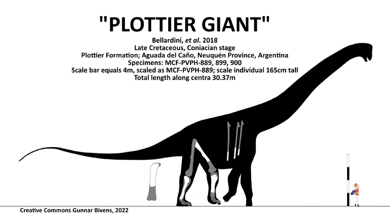 Plik:Plottier Sauropod by Gunnar Bivens.png
