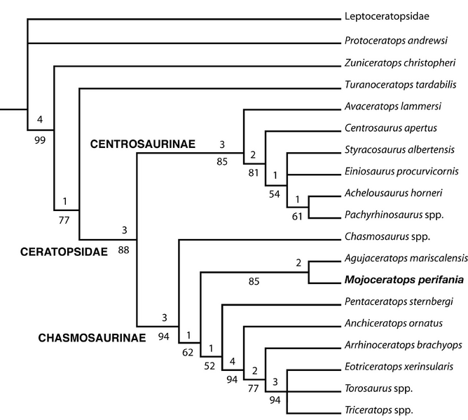 Plik:Longrich, 2010.png