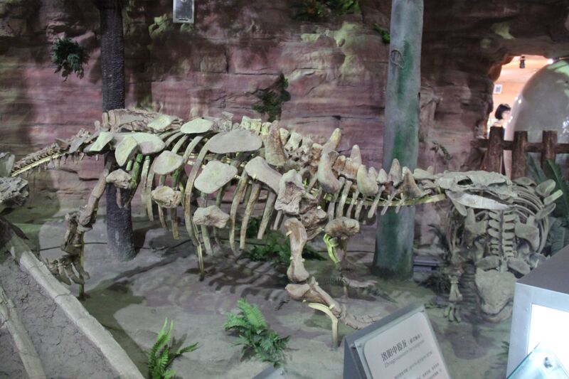 Plik:Zhongyuansaurus luoyangensis.jpg