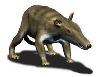 Cronopio NT.jpg