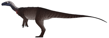 Huayracursor jaguensis.png