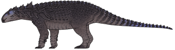 Nipponopelta yezoensis.png