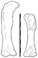 Miniatura wersji z 09:44, 1 lip 2026