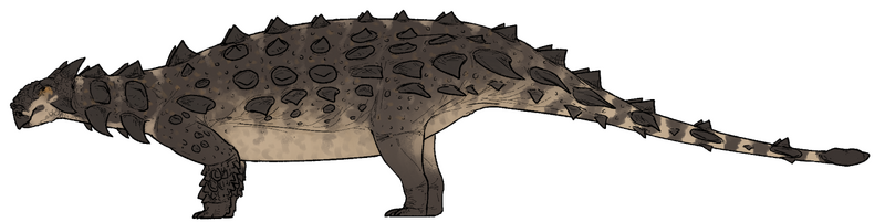 Plik:Eopinacosaurus mephistocephalus.png