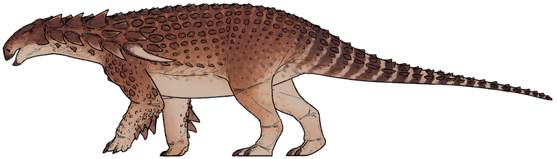 Plik:Borealopelta markmitchelli.png