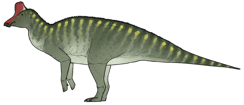 Plik:Taleta taleta.png