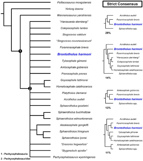 Woodruff et all 2025-1.png