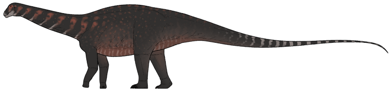 Plik:Athenar bermani.png