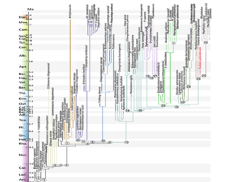 Rhabdodontidae1 Dieudonne et al 2026.png