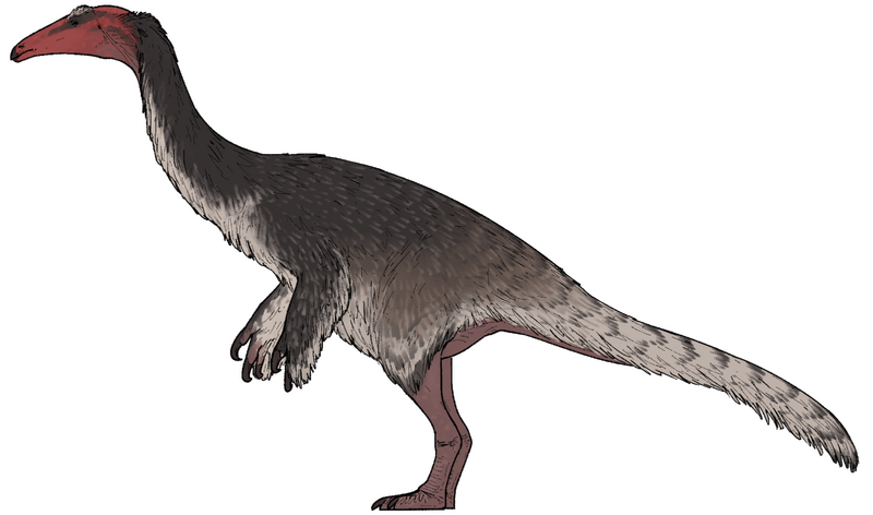 Plik:Kayrasaurus changliensis.png