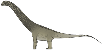 Phosphatotitan khouribgaensis.png