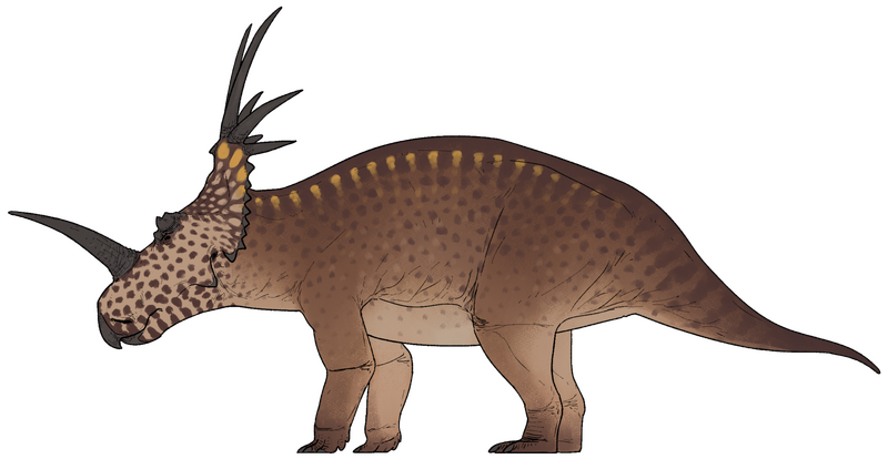 Plik:Styracosaurus albertensis.png