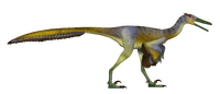 Buitreraptor TD.png