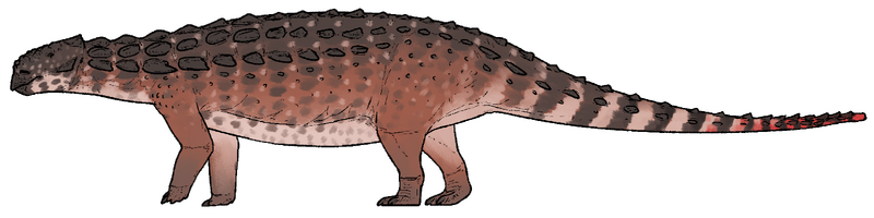 Plik:Zhongyuansaurus junchangi.png