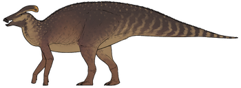 Plesiolophus warnerensis.png