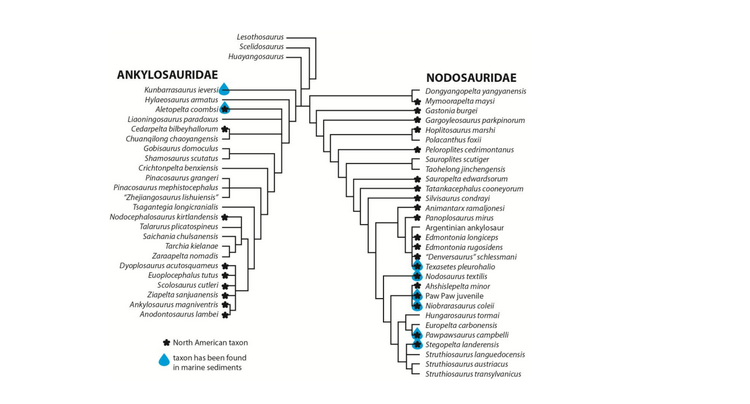 Arbour et al 2016.png