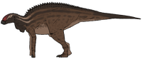 Brachylophosaurus canadensis.png