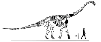 Quetecsaurus.png