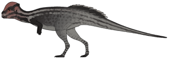Sinocephale bexelli.png