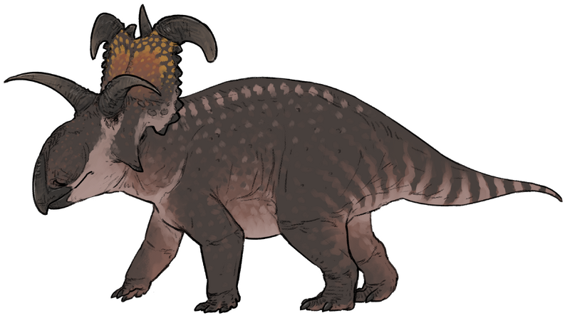 Plik:Lokiceratops rangiformis.png