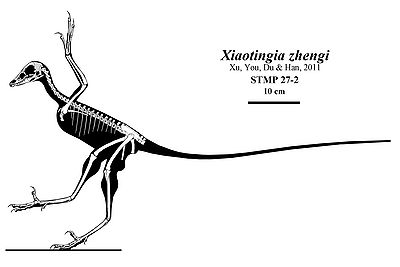 Rekonstrukcja szkieletu. Z: Xu, et al., 2011