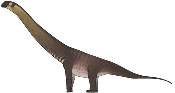 Dasosaurus tocantinensis.png