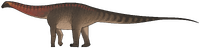 Sidersaura marae.png