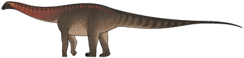 Sidersaura marae.png