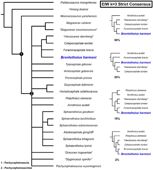 Woodruff et all 2025-2.png