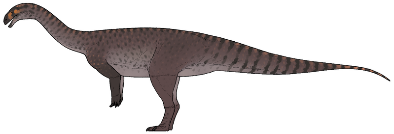 Plik:Wudingloong wui.png