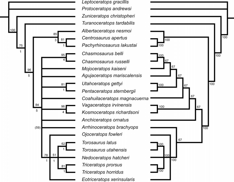 Plik:Mallon i in., 2011.png