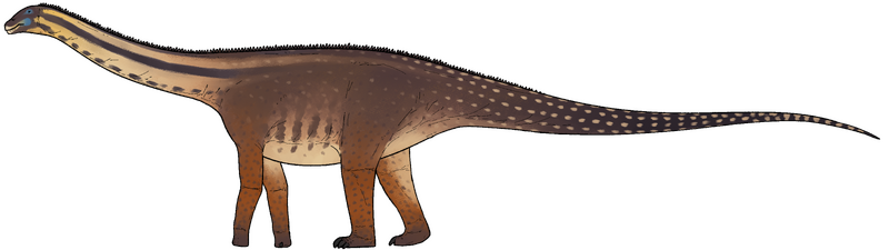 Plik:Cienciargentina sanchezi.png