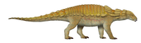 Edmontonia TD.png