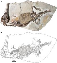 Champsosaurus Two Medicine Fm.jpeg