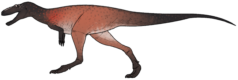 Plik:Khankhuuluu mongoliensis.png