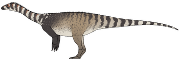 Musango matusadonaensis.png