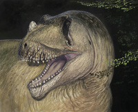 Tameryraptor (life restoration).png