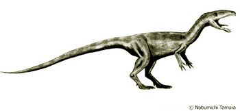 Laevisuchus.jpg