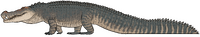 Deinosuchus hatcheri.png