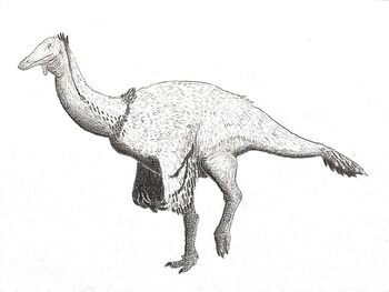 Paraxenisaurus normalensis as Deinocheirid.jpg